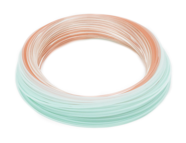 RIO DirectCore Flats Pro Intermediate Fly Line Coil RIO DirectCore Flats Pro Intermediate Fly Line Coil